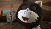 Angry Cat GIF by HangryPetz