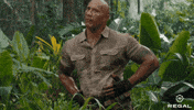 Regalmovies GIF by Regal