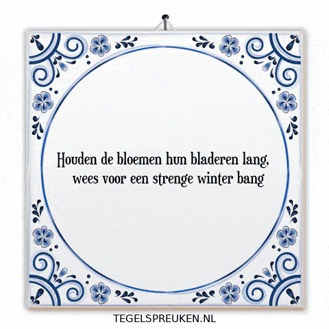 Humor Bang GIF by Tegelspreuken.nl