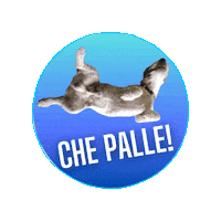 Dog Sticker by Tessa Gelisio