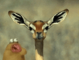 deer eating GIF