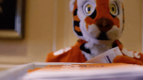 tiger you're in GIF