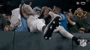 National Football League GIF by NFL