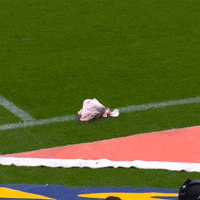 Coringaomagic palmeiras derby corinthians yuri alberto GIF