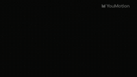 Animated Flowers and Plants Animations