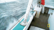 wicked tuna GIF by National Geographic Channel
