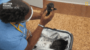 Happy Baby GIF by Nat Geo Wild