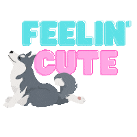 Dog Love Sticker by chubbycheekscrew