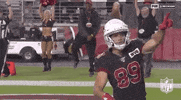 Regular Season Football GIF by NFL