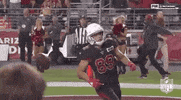 Regular Season Football GIF by NFL