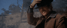 thecoolidge coolidge corner theatre coolidge paul newman robert redford GIF