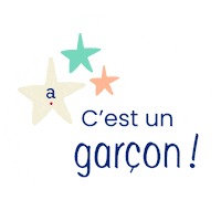 Baby Boy Sticker by Absorba