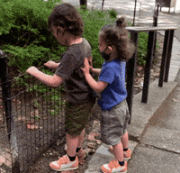 Kids Pushing GIF by Jacob Shwirtz