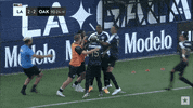 Usl Championship Football GIF by USL