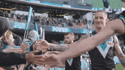 Hamish Hartlett Win GIF by Port Adelaide FC