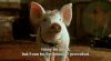 GIF by GoPlay
