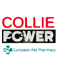 Border Co Sticker by Europeanpetpharmacy