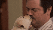 Parks And Recreation Dog GIF by PeacockTV