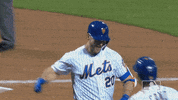 Celebrate Home Run GIF by New York Mets