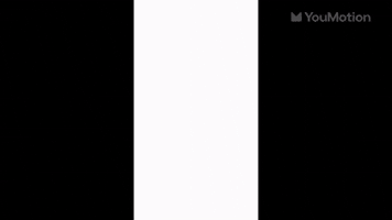 Logo Visual Opener Library Pro 11