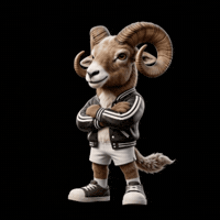 Ramsalamina GIF by Ramstreetfood