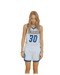 Basketball Guitar Sticker by Delaware Blue Hens