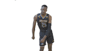 Dance Basketball Sticker by Delaware Blue Hens