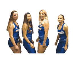 College Sports Love Sticker by Delaware Blue Hens