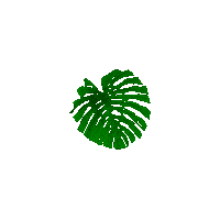 enterneverland shake leaf monstera houseplant Sticker