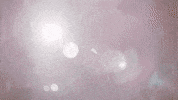 Weeks GIF by Kevin Gates