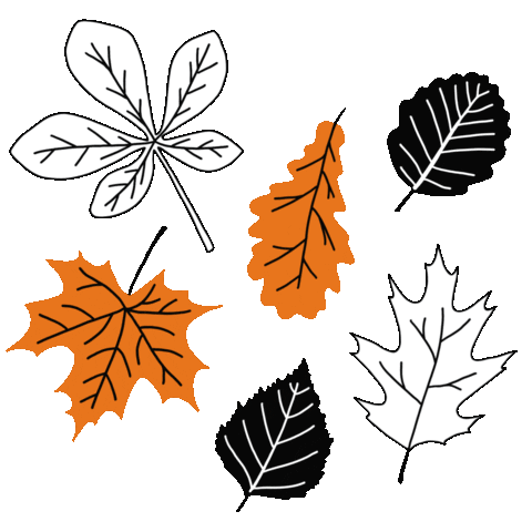 Fall Orange Sticker
