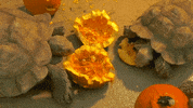 Halloween Eating GIF by Brookfield Zoo
