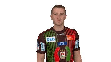 Handball-Bundesliga Shut Up Sticker by LIQUI MOLY HBL