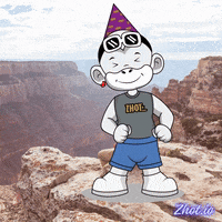 United States Usa GIF by Zhot
