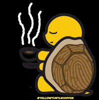 YellowTurtleCoffee yellow turtle coffee GIF