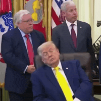 Donald Trump GIF by Respective
