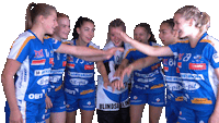 Unihockey Sticker by Kloten-Dietlikon Jets