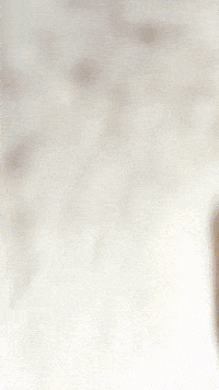 Rigby GIF by Youtooz