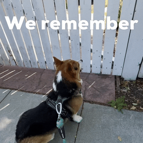 Dog We Remember GIF