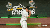 Home Run Celebration GIF by GreenWave