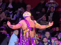 Lucha Libre Celebration GIF