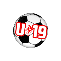 U19 Sticker by FirenzeC5