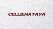 College Softball GIF by Boston College Eagles