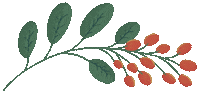 Christmas Flower Sticker