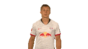 Red Bulls Wow Sticker by Bundesliga