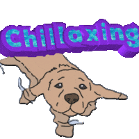 Dog Summer Sticker