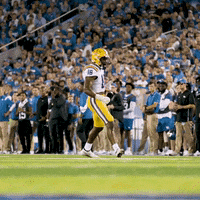 Lets Go Football GIF by LSU Tigers