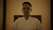 Cobra Kai GIF by NETFLIX