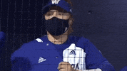 Huskies GIF by Washington Athletics