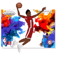 Slam Dunk Basketball Sticker by Panini America